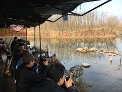 -新江湾城公园
