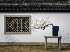 -杭州植物园