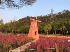 -顺峰山公园