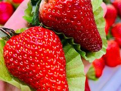 -盛福小关菜市场