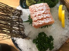 -一本钓鲔鱼屋