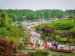 -秀丽东方