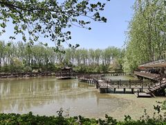 -合肥滨湖国家森林公园