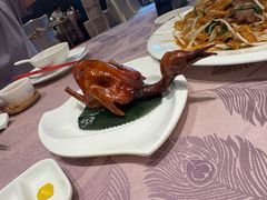 -金汇酒楼(中山东区店)