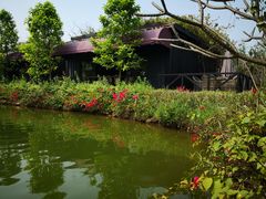 -花溪雨·森林餐厅(石基店)