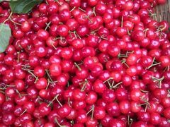 -樱桃山旅游景区