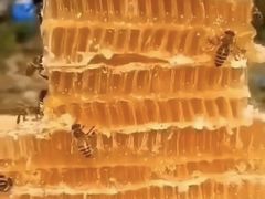 -万达广场(东莞厚街店)