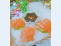 -海桐
