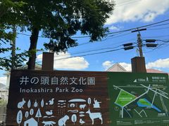 -三鹰之森吉卜力美术馆