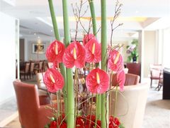 -FEI FEI FLOWER鲜花店·气球派对·宝宝宴布置(虹口德必运动Loft店)