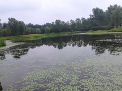 -东郊湿地公园