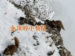 -峨眉山风景名胜区