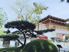 -大唐不夜城