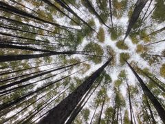 -山王坪喀斯特国家生态公园