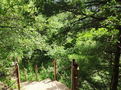 -陕西省红河谷森林公园