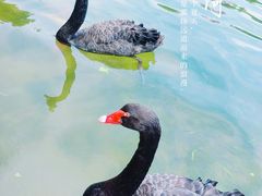 -徐家汇公园