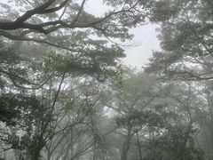 -梧桐山风景名胜区