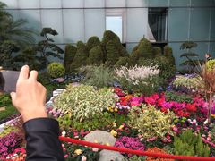 -重庆市江北嘴中央商务区中央公园