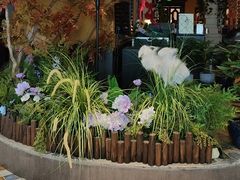 -俄士厨房(未来城店)
