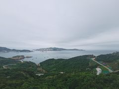 -枸杞岛