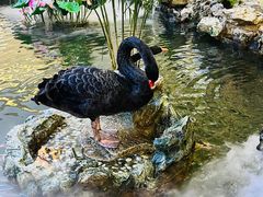-赛格国际购物中心(小寨店)