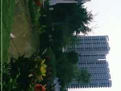 -大亚湾红树林城市湿地公园