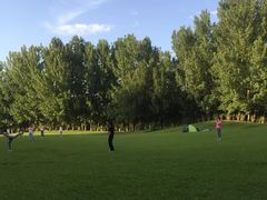 -长白岛森林公园