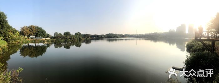 松山湖南湖湾露营营地图片