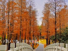 -四海公园(南山区)