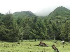 -硗碛藏寨·神木垒景区