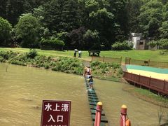 -洪崖丹井