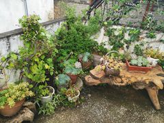 -浔岚云舍mist静谧观景美宿(丽江古城店)