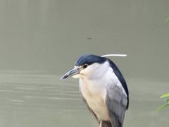-汇龙潭