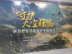 -陕西科学技术馆