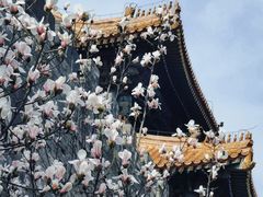 -东华门大街小区