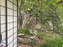 -中国茶叶博物馆(双峰馆区)