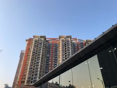 -金粿粿·牛肉粿