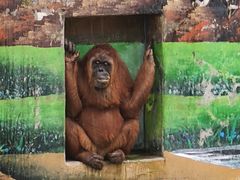 -西霞口神雕山野生动物世界