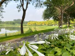 -龙熙温泉高尔夫俱乐部