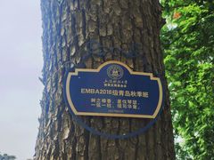 -上海财经大学-新食堂