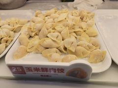 -熊大爷现包饺子(和平里店)