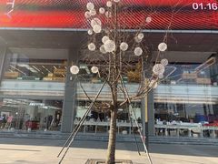 -苏宁易购(成都春熙路店)