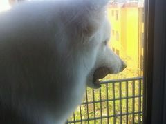 -北戴河杨肠子(联峰路店)