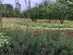 -桤木河湿地公园