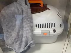 -博特宠物医院24h犬猫全科.骨科·异宠
