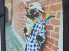 -豆逗聊愈猫阁Easy Life