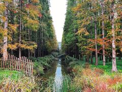 -东平国家森林公园