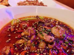 -杨氏青龙虾·羊蝎子(托乐嘉店)
