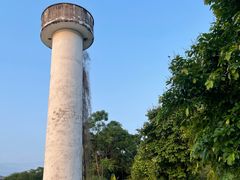 -广西壮族自治区药用植物园