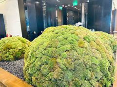 -广州文华东方酒店·悦铂尼西餐厅